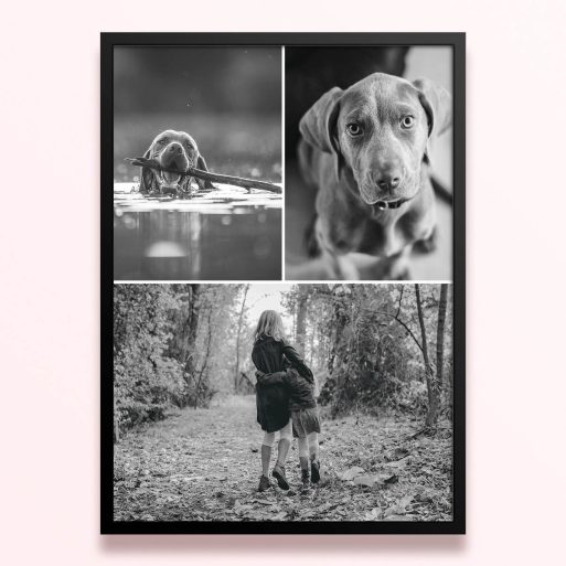 Simple framed prints designs with three photos showcasing different black and white images.
