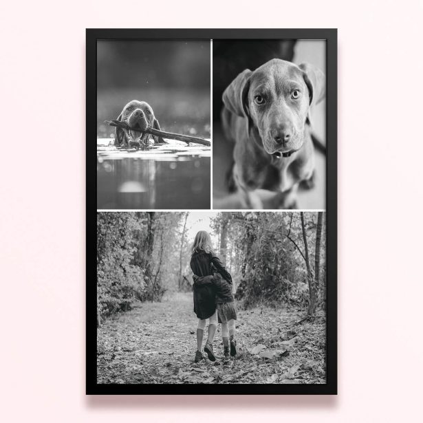 Simple framed prints designs with three photos showcasing different black and white images.