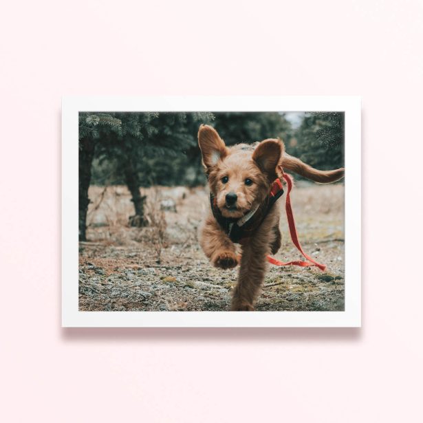 Simple framed prints designs featuring a running puppy in a forest