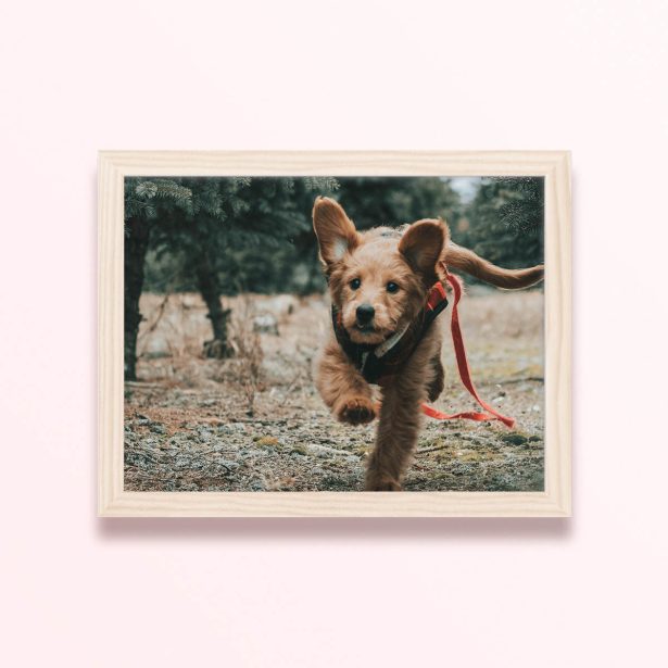 Simple framed prints designs featuring a running puppy in a forest