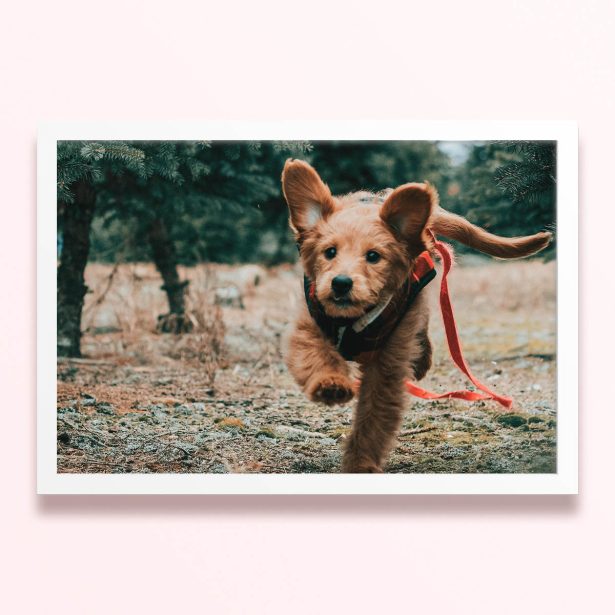 Simple framed prints designs featuring a running puppy in a forest