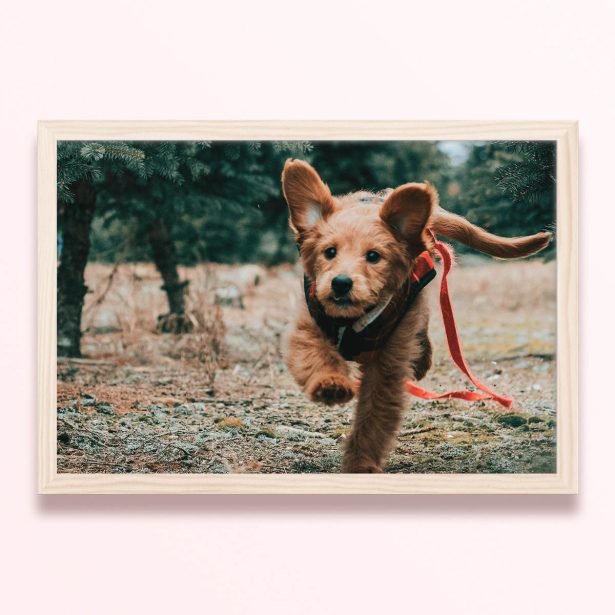 Simple framed prints designs featuring a running puppy in a forest
