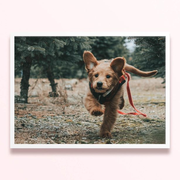 Simple framed prints designs featuring a running puppy in a forest