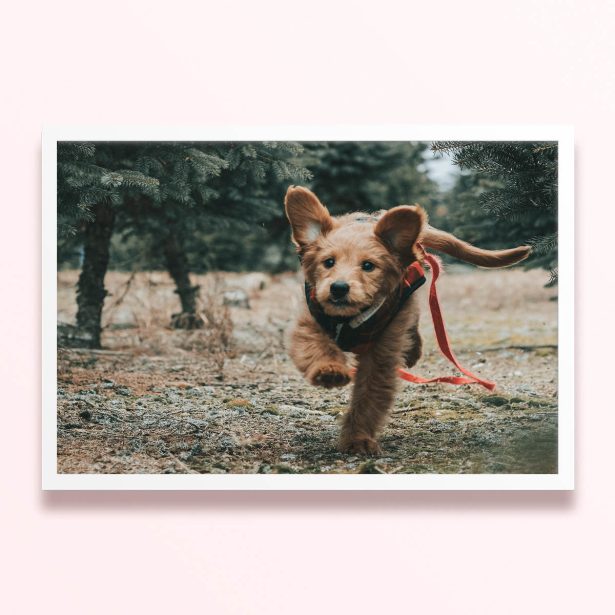 Simple framed prints designs featuring a running puppy in a forest