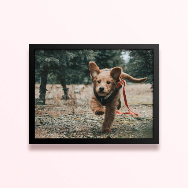 Simple framed prints designs featuring a running puppy in a forest