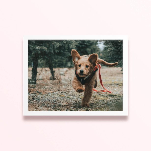 Simple framed prints designs featuring a running puppy in a forest