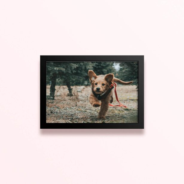 Simple framed prints designs featuring a running puppy in a forest