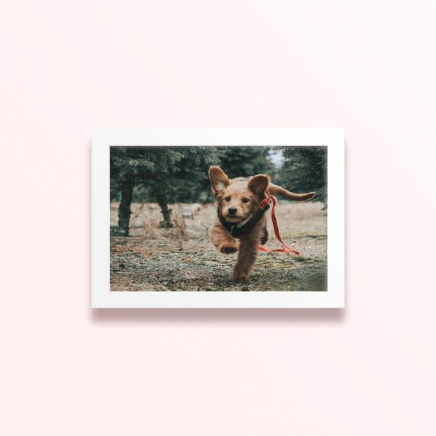 Simple framed prints designs featuring a running puppy in a forest