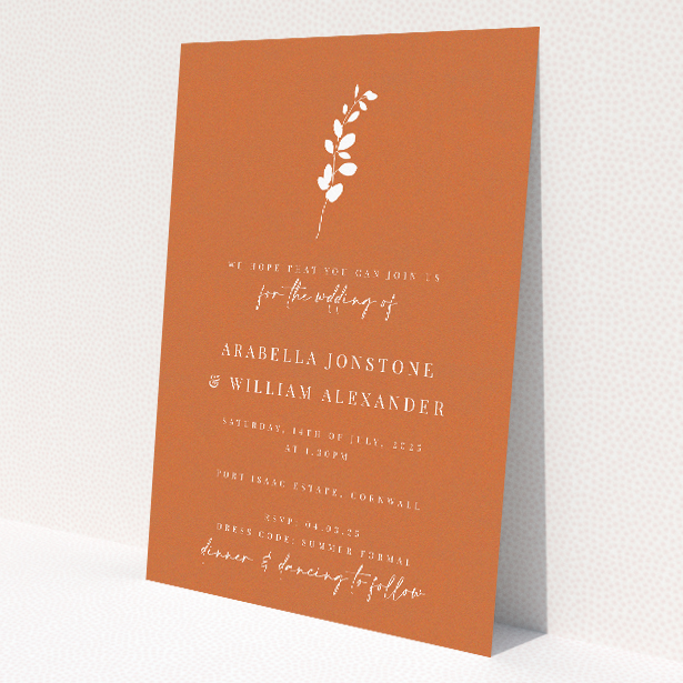 'Terracotta Sprig' wedding invitation featuring a minimalist white botanical sprig on a rich terracotta background, perfect for a modern and warm celebration This is a view of the front