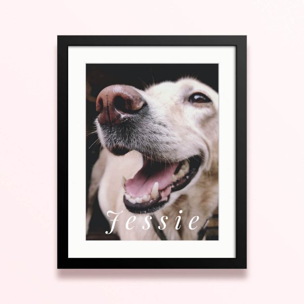 Framed and mounted photo print with one photo featuring a close-up of a dog's face.