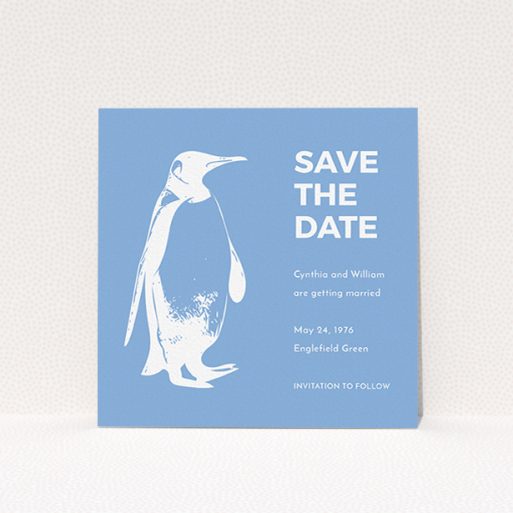 A wedding save the date card template titled "My little penguin". It is a square (148mm x 148mm) card in a square orientation. "My little penguin" is available as a flat card, with tones of blue and white.