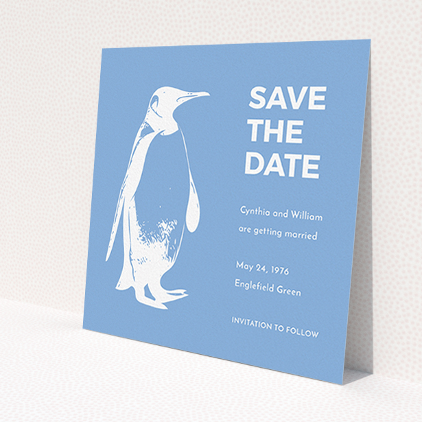 A wedding save the date card template titled 'My little penguin'. It is a square (148mm x 148mm) card in a square orientation. 'My little penguin' is available as a flat card, with tones of blue and white.
