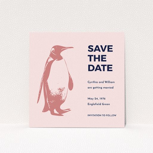 A wedding save the date design named "My little penguin". It is a square (148mm x 148mm) save the date in a square orientation. "My little penguin" is available as a flat save the date, with tones of navy blue and pink.
