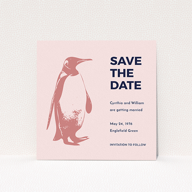 A wedding save the date design named "My little penguin". It is a square (148mm x 148mm) save the date in a square orientation. "My little penguin" is available as a flat save the date, with tones of navy blue and pink.