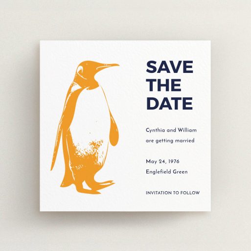 A wedding save the date design named "My little penguin". It is a square (148mm x 148mm) save the date in a square orientation. "My little penguin" is available as a flat save the date, with tones of orange and blue.