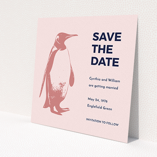 A wedding save the date design named "My little penguin". It is a square (148mm x 148mm) save the date in a square orientation. "My little penguin" is available as a flat save the date, with tones of navy blue and pink.
