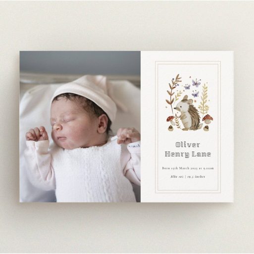 Birth announcement card design featuring one photo of a newborn baby next to an illustrated woodland theme.