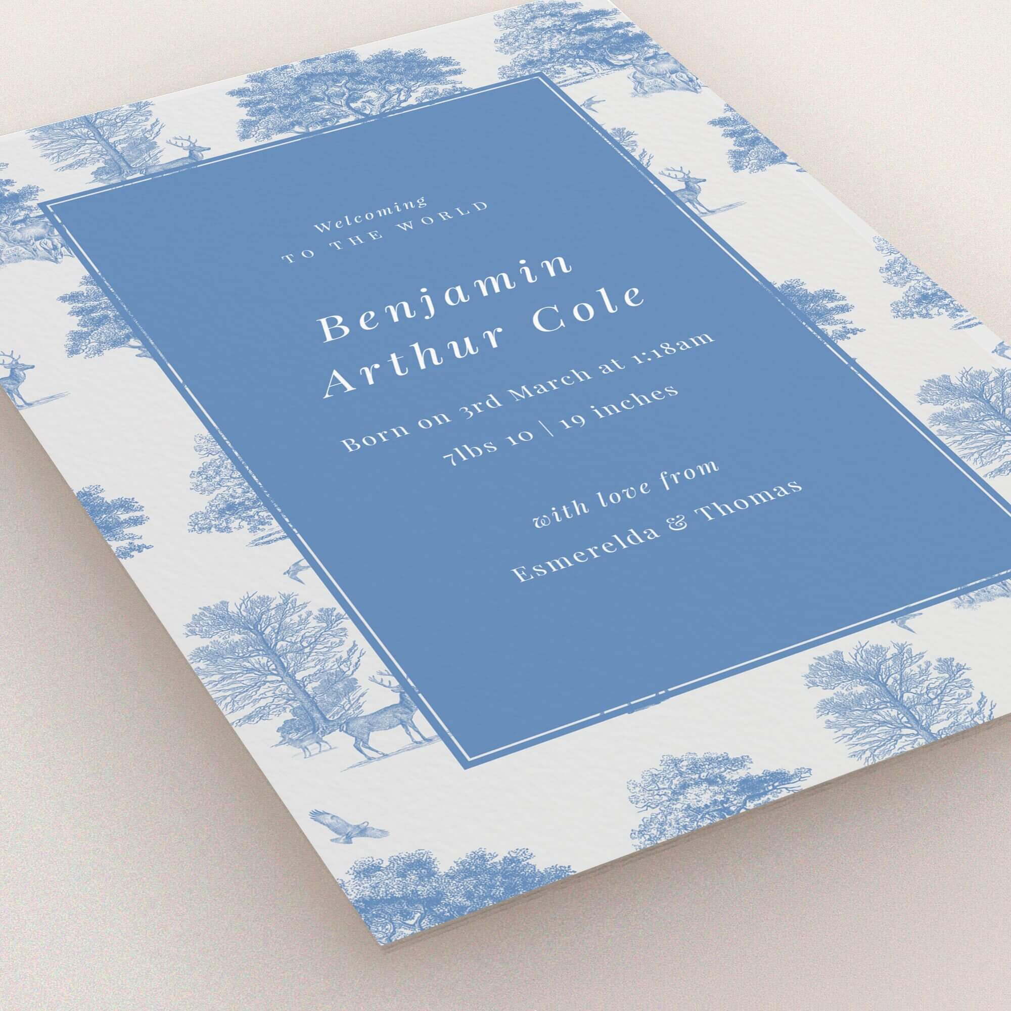 Blue and white birth announcement card design with nature illustrations and no photos