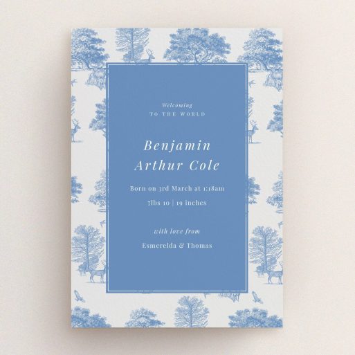 Blue and white birth announcement card design with nature illustrations and no photos